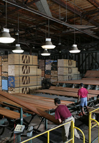 Grading dried lumber