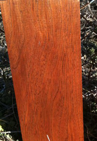 Spanish Cedar Exotic Hardwood Lumber