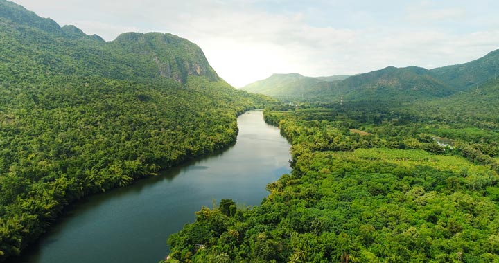 lush forested lands with valley, hill and river